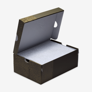 AIRJORDAN3RETRO28GS29-19.png 38820