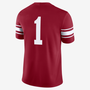 MNkAlternateGameJerseyFa2-1.png 38043