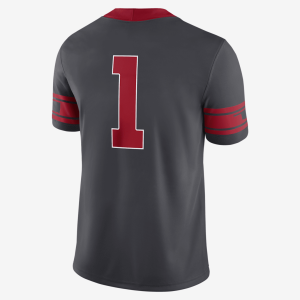 MNkAlternateGameJerseyFa2-3.png 140971